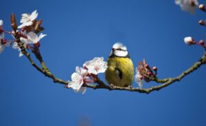 ワキガに効果的な食べ物の関係は？