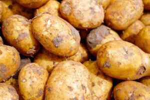 体臭を抑える食べ物にはどんなものがあるの？