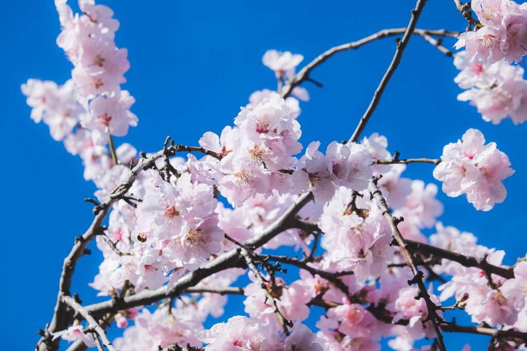 汗の匂いは食べ物によって変わるのか？