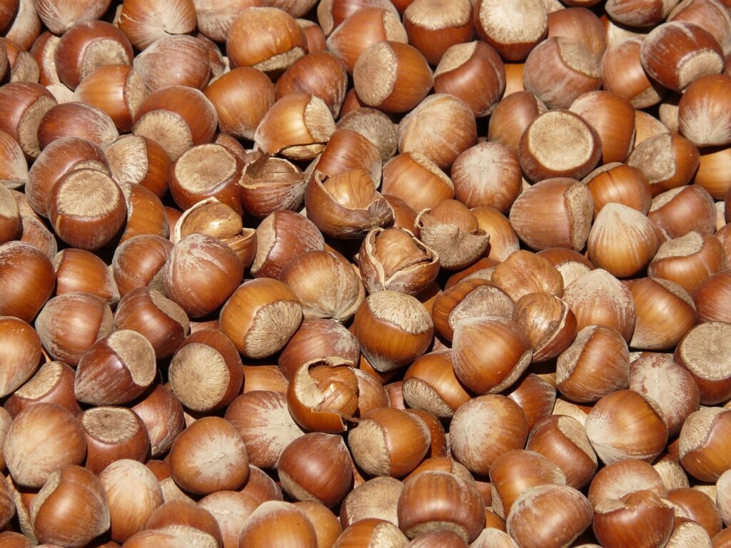 ナッツを食べることで体臭は改善されるのか？