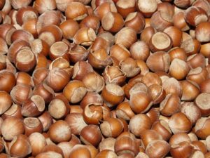 ナッツを食べることで体臭は改善されるのか？