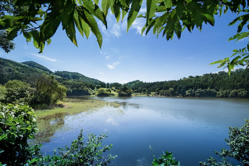 ワキガ対策に効果的なヨーグルトの活用法は？