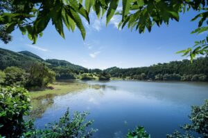 ワキガ対策に効果的なヨーグルトの活用法は？
