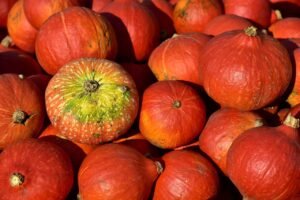 ワキガが悪化する食べ物とはどんなものがあるの？