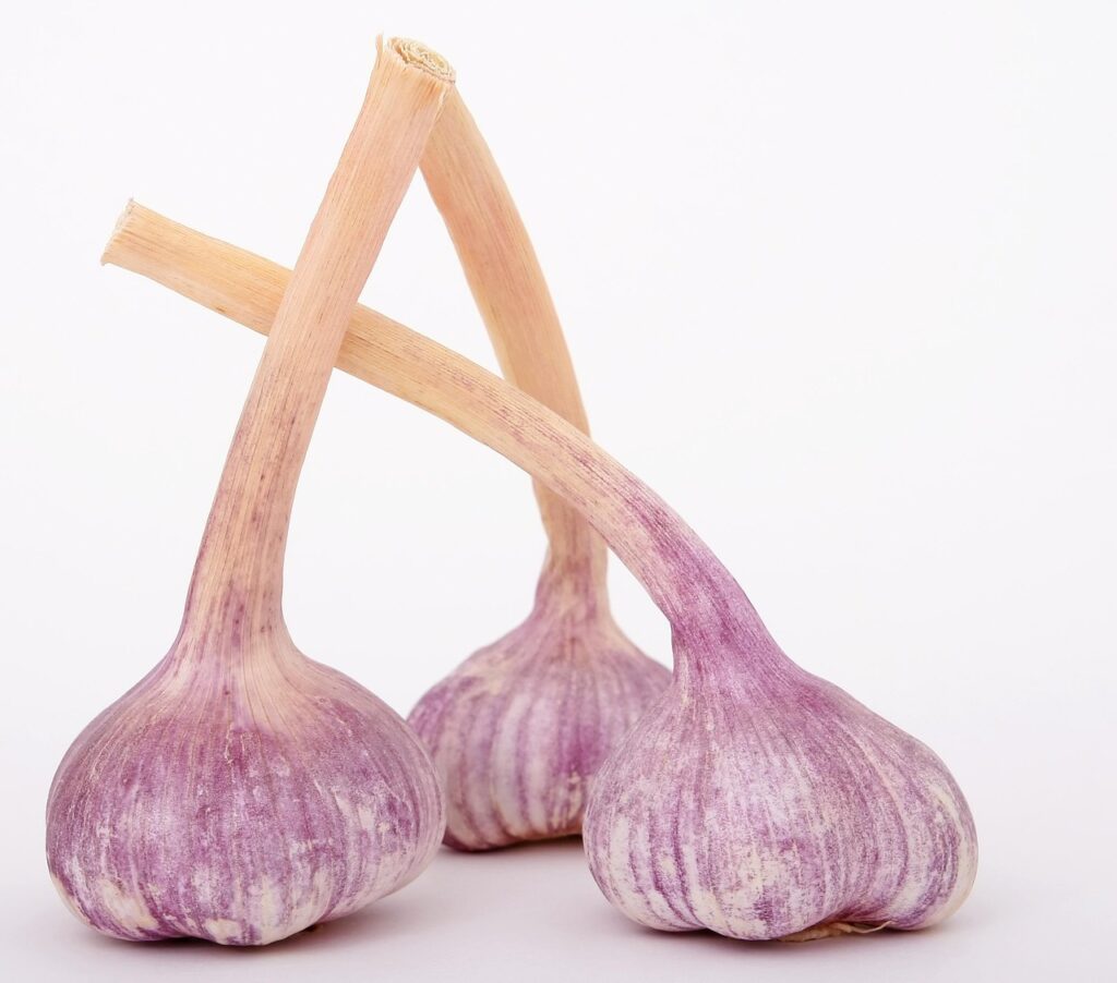 ニンニクを食べると体臭はどう影響するのか？