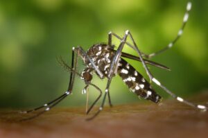 モテる体臭を作り出す食事の作り置き方法は？