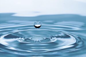 モテる体臭を改善するための食事に緑茶は効果的？