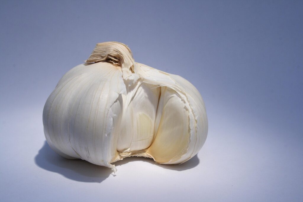 体臭が悪化する食べ物にニンニクは含まれるのか？