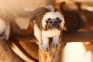 体臭に悩む自臭症の方が食事で改善する方法は？