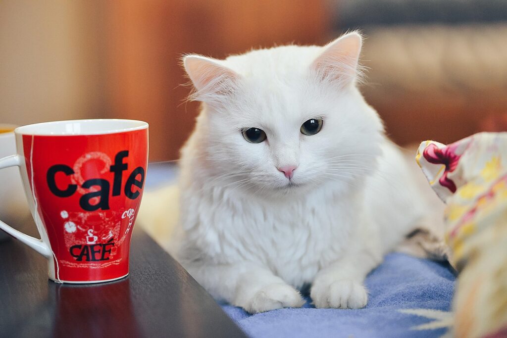 体臭が気になる飲み会翌日の食事対策は？