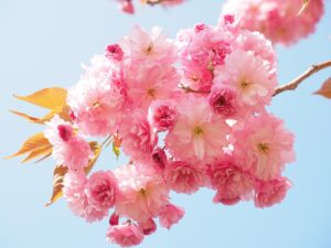 体臭の匂いの種類を見分ける方法は？